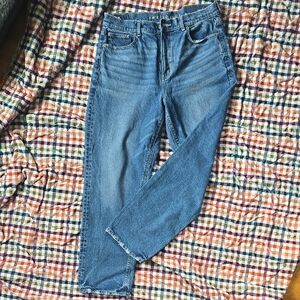 NWOT - American Eagle Straight Leg Jeans  - Size 12 Short